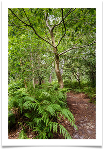 2 - Delamere - Bill Rigby